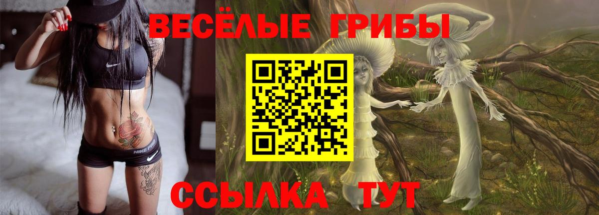 Псилоцибиновые грибы Psilocybe Троицк