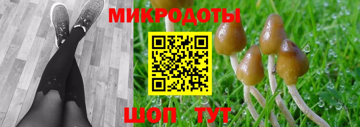 Галлюциногенные грибы MAGIC MUSHROOMS  Вход с VPN  Троицк 